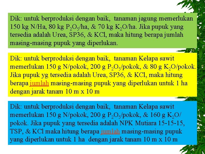 Dik: untuk berproduksi dengan baik, tanaman jagung memerlukan 150 kg N/Ha, 80 kg P