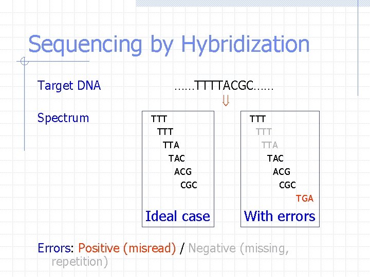Sequencing by Hybridization Target DNA Spectrum ……TTTTACGC…… ß TTT TTT TTA TAC ACG CGC