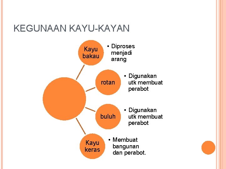 KEGUNAAN KAYU-KAYAN Kayu bakau Kayu keras • Diproses menjadi arang rotan • Digunakan utk