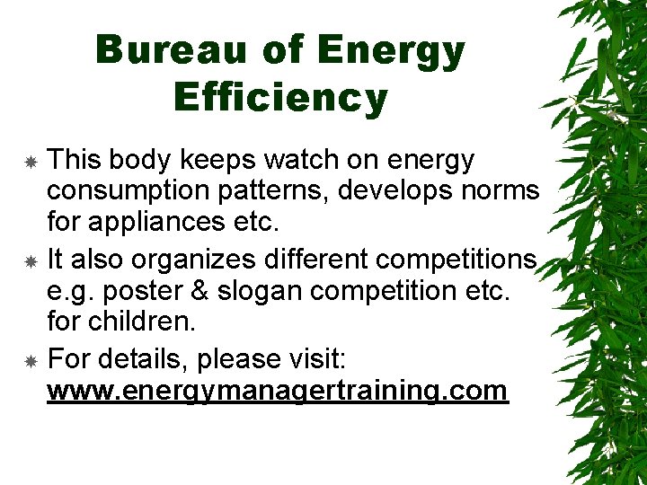 Bureau of Energy Efficiency This body keeps watch on energy consumption patterns, develops norms