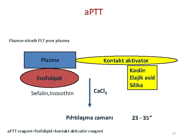 a. PTT Plazma=sitratlı PLT poor plazma Plazma Kontakt aktivator Fosfolipid Sefalin, Inosothin Ca. Cl