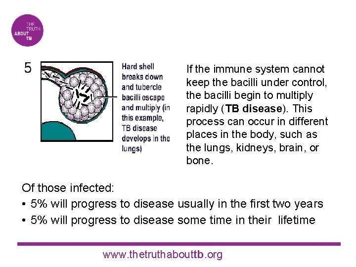 If the immune system cannot keep the bacilli under control, the bacilli begin to
