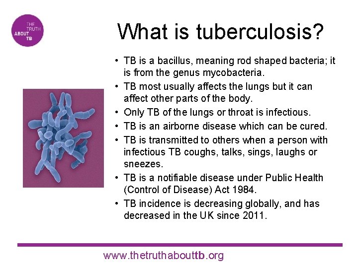  What is tuberculosis? • TB is a bacillus, meaning rod shaped bacteria; it