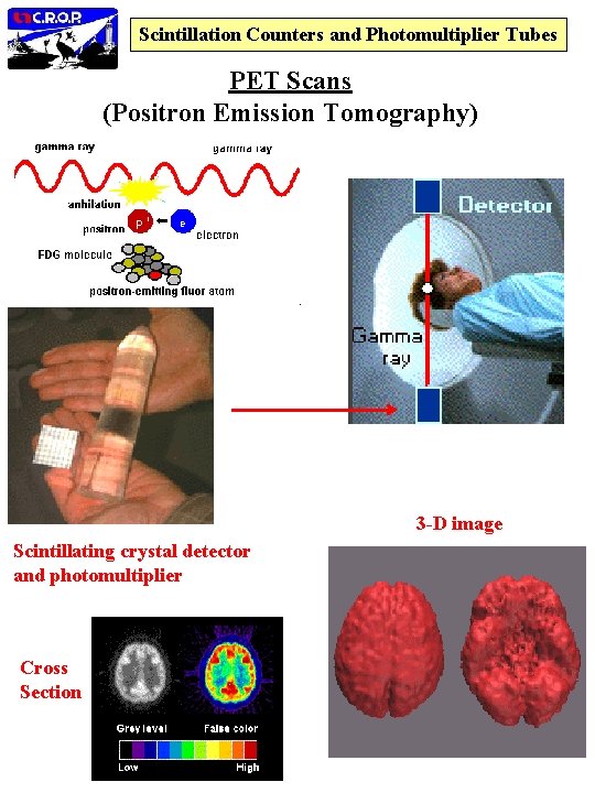 Scintillation Counters and Photomultiplier Tubes PET Scans (Positron Emission Tomography) 3 -D image Scintillating