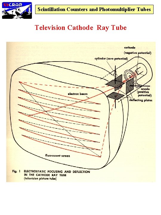 Scintillation Counters and Photomultiplier Tubes Television Cathode Ray Tube 