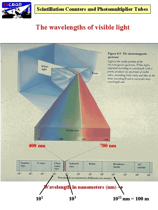 Scintillation Counters and Photomultiplier Tubes The wavelengths of visible light 400 nm 700 nm
