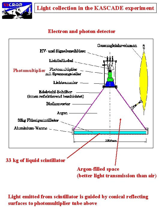 Light collection in the KASCADE experiment Electron and photon detector Photomultiplier 33 kg of