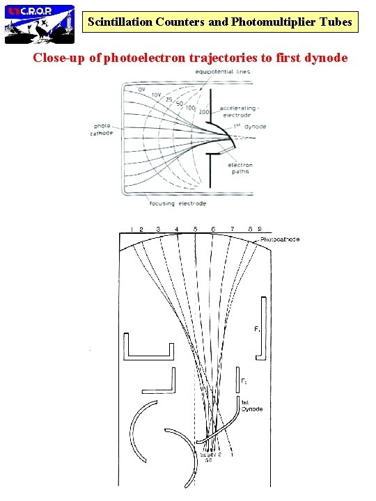 Scintillation Counters and Photomultiplier Tubes Close-up of photoelectron trajectories to first dynode 