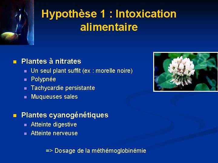 Hypothèse 1 : Intoxication alimentaire n Plantes à nitrates n n n Un seul