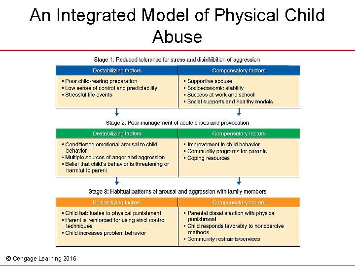 An Integrated Model of Physical Child Abuse © Cengage Learning 2016 