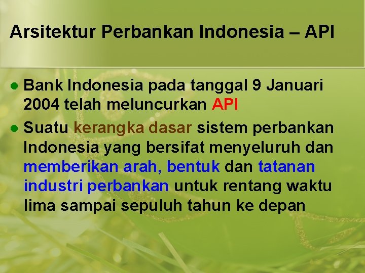 Arsitektur Perbankan Indonesia – API Bank Indonesia pada tanggal 9 Januari 2004 telah meluncurkan