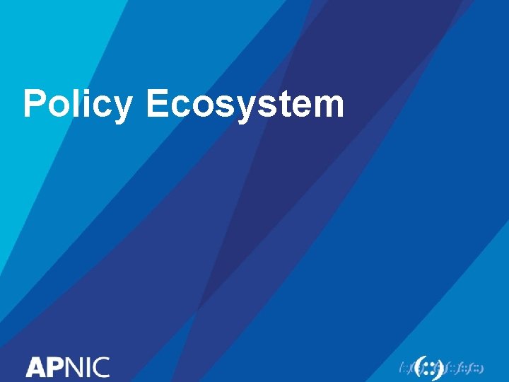 Policy Ecosystem 