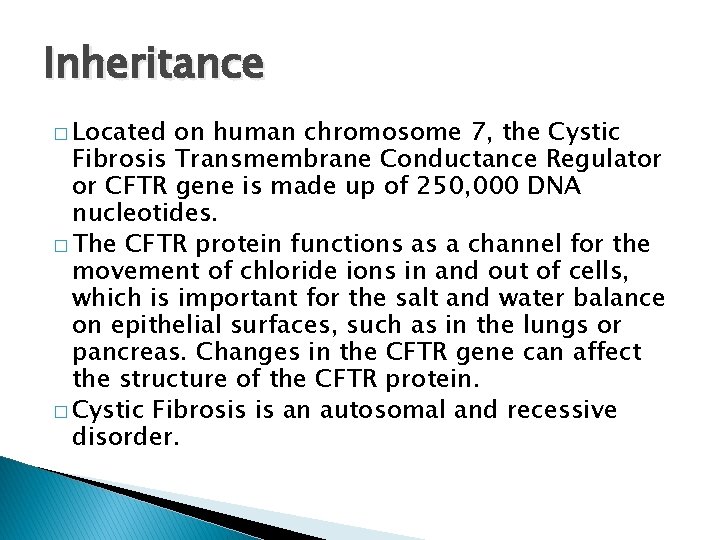 Inheritance � Located on human chromosome 7, the Cystic Fibrosis Transmembrane Conductance Regulator or