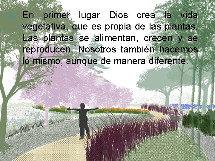  En primer lugar Dios crea la vida vegetativa, que es propia de las