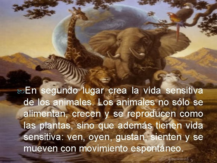  En segundo lugar crea la vida sensitiva de los animales. Los animales no