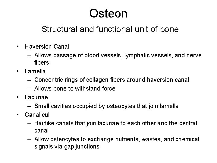 Osteon Structural and functional unit of bone • Haversion Canal – Allows passage of