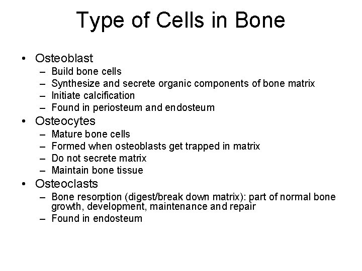 Type of Cells in Bone • Osteoblast – – Build bone cells Synthesize and