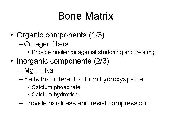 Bone Matrix • Organic components (1/3) – Collagen fibers • Provide resilience against stretching