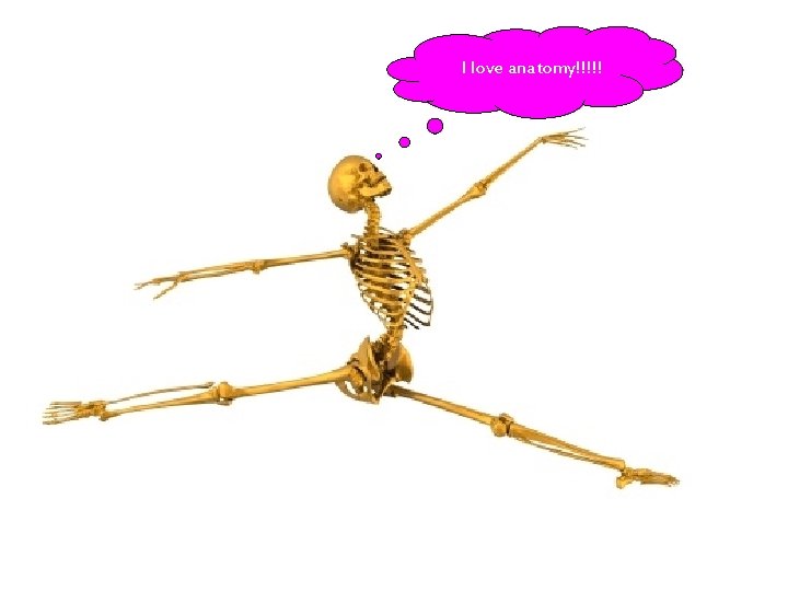 I love anatomy!!!!! 