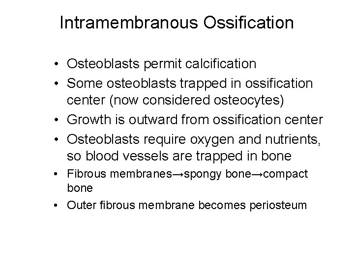 Intramembranous Ossification • Osteoblasts permit calcification • Some osteoblasts trapped in ossification center (now