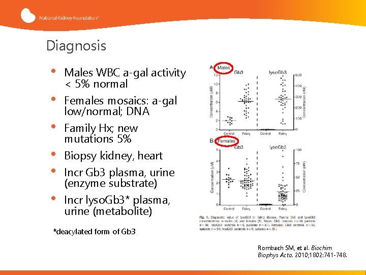 Diagnosis • • • Males WBC a-gal activity < 5% normal Females mosaics: a-gal