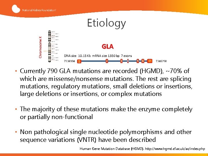 Etiology • Currently 790 GLA mutations are recorded (HGMD), ~70% of which are missense/nonsense