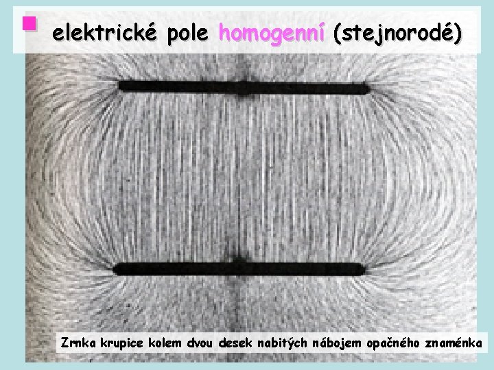 § elektrické pole homogenní (stejnorodé) Zrnka krupice kolem dvou desek nabitých nábojem opačného znaménka