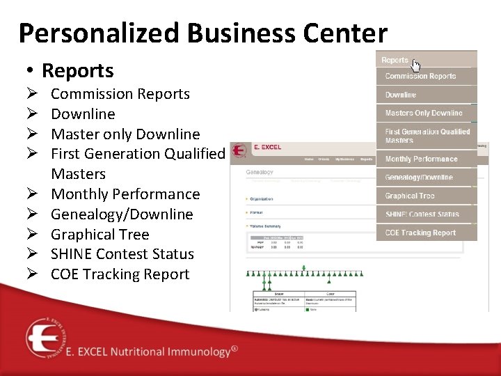 Personalized Business Center • Reports Ø Ø Ø Ø Ø Commission Reports Downline Master