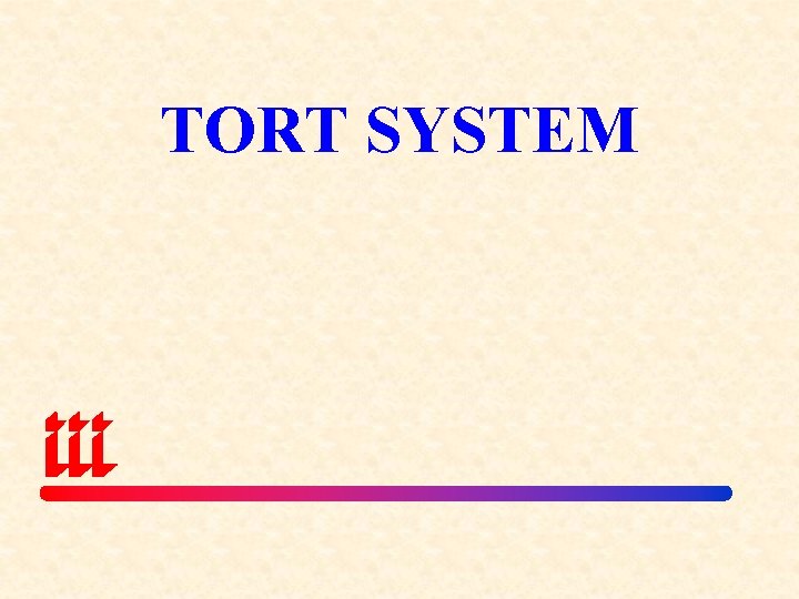 TORT SYSTEM 