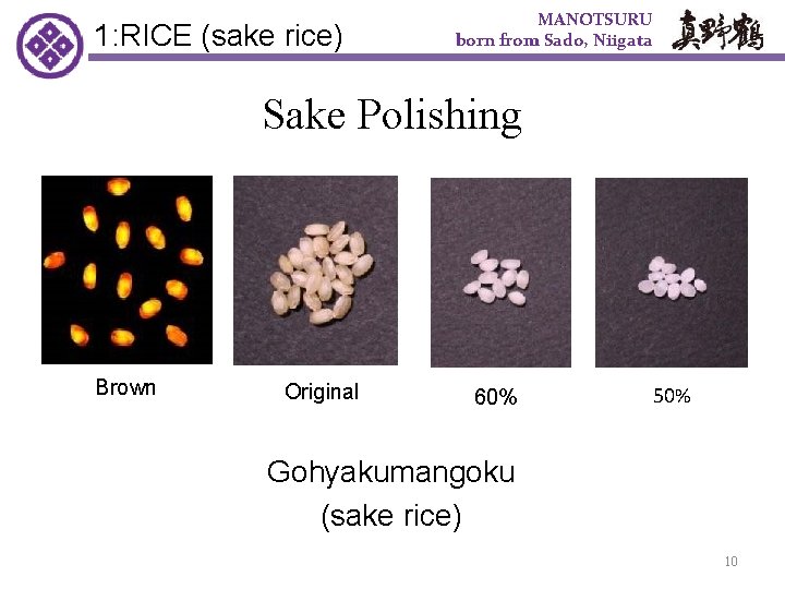 1: RICE (sake rice)　 MANOTSURU born from Sado, Niigata 　Sake Polishing Brown Original 60%