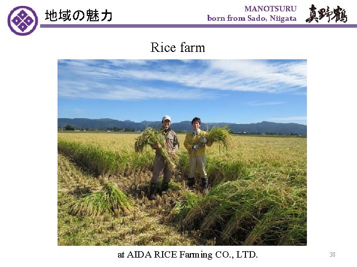 地域の魅力 MANOTSURU born from Sado, Niigata Rice farm at AIDA RICE Farming CO. ,