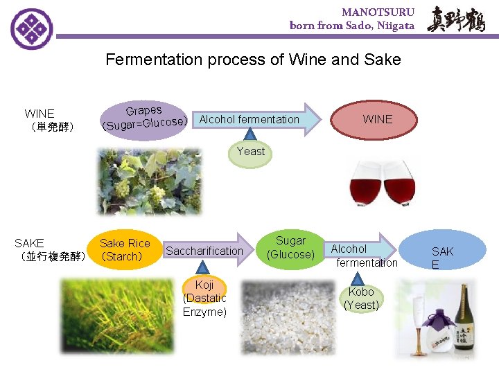MANOTSURU born from Sado, Niigata Fermentation process of Wine and Sake WINE （単発酵） Grapes