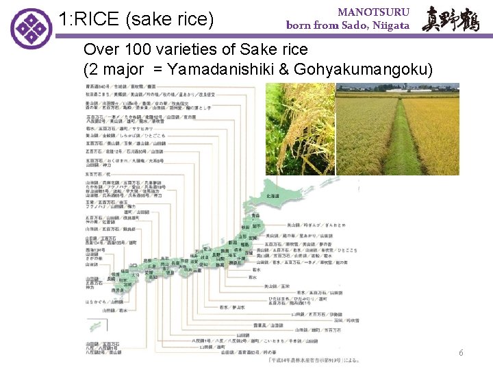 1: RICE (sake rice)　 MANOTSURU born from Sado, Niigata Over 100 varieties of Sake