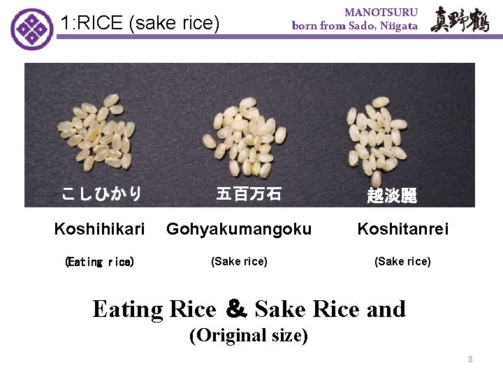 1: RICE (sake rice)　 こしひかり MANOTSURU born from Sado, Niigata 五百万石 越淡麗 Koshihikari Gohyakumangoku