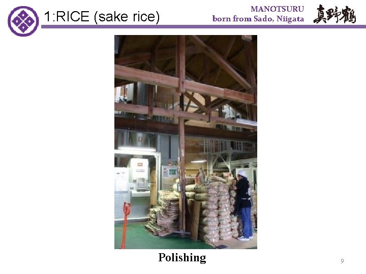 1: RICE (sake rice)　 Polishing MANOTSURU born from Sado, Niigata 9 