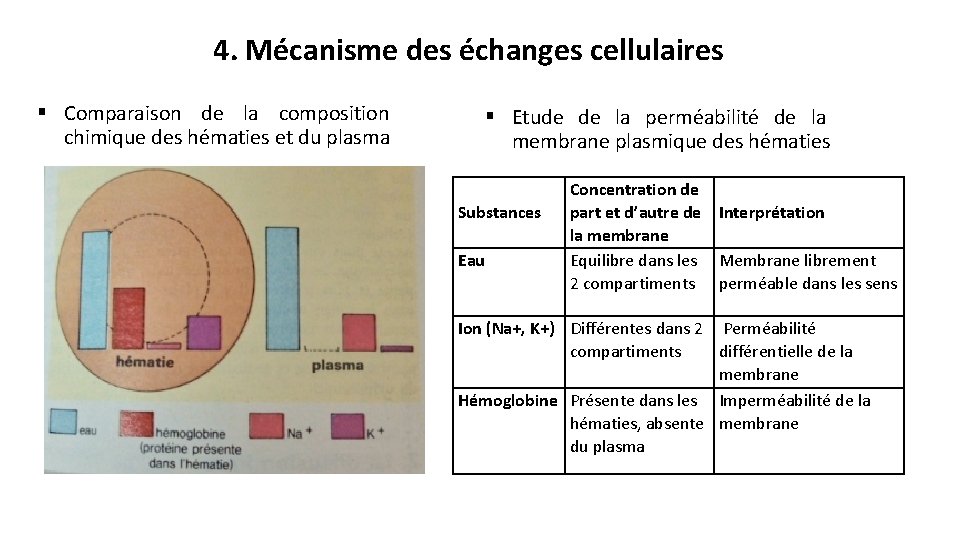 4. Mécanisme des échanges cellulaires § Comparaison de la composition chimique des hématies et