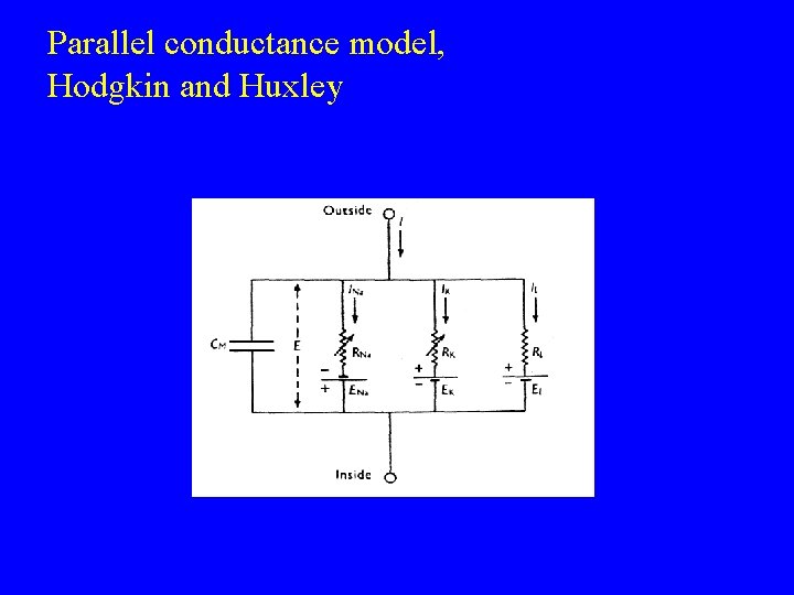 Parallel conductance model, Hodgkin and Huxley 