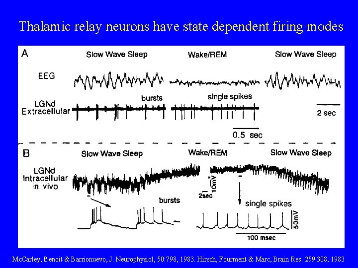 Thalamic relay neurons have state dependent firing modes Mc. Carley, Benoit & Barrionuevo, J.