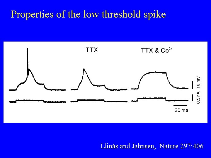 Properties of the low threshold spike Llinás and Jahnsen, Nature 297: 406 