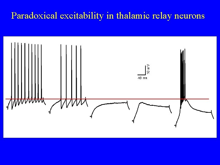 Paradoxical excitability in thalamic relay neurons 