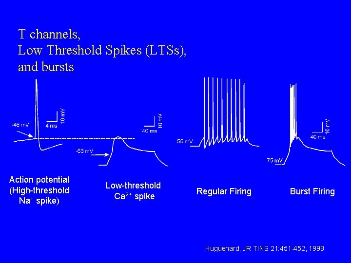 T channels, Low Threshold Spikes (LTSs), and bursts Action potential (High-threshold Na+ spike) Low-threshold