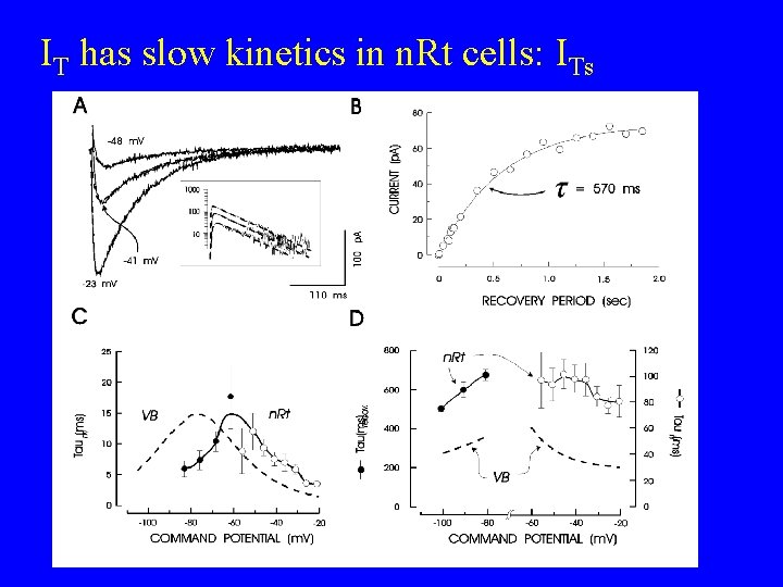IT has slow kinetics in n. Rt cells: ITs 