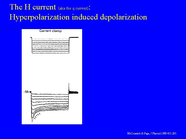 The H current (aka the q current): Hyperpolarization induced depolarization Mc. Cormick & Pape,