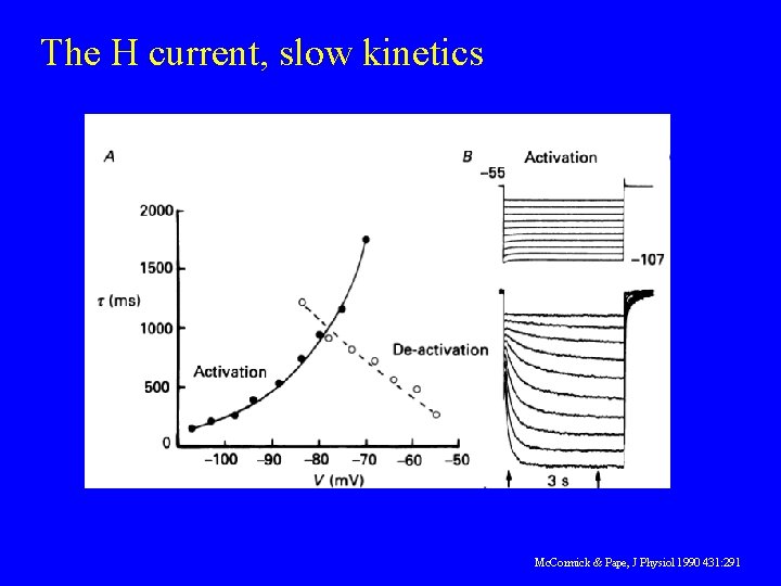 The H current, slow kinetics Mc. Cormick & Pape, J Physiol 1990 431: 291