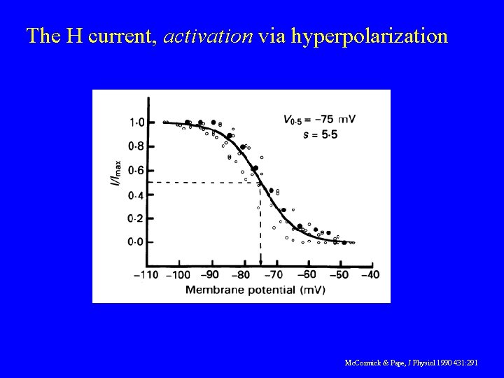 The H current, activation via hyperpolarization Mc. Cormick & Pape, J Physiol 1990 431: