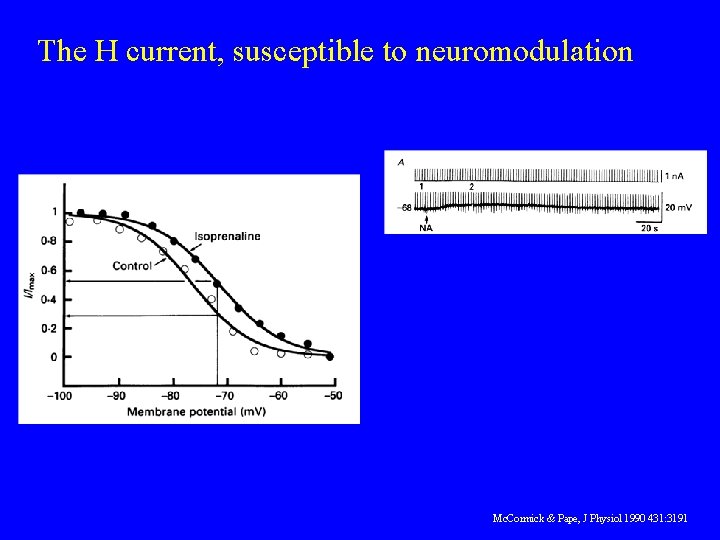 The H current, susceptible to neuromodulation Mc. Cormick & Pape, J Physiol 1990 431: