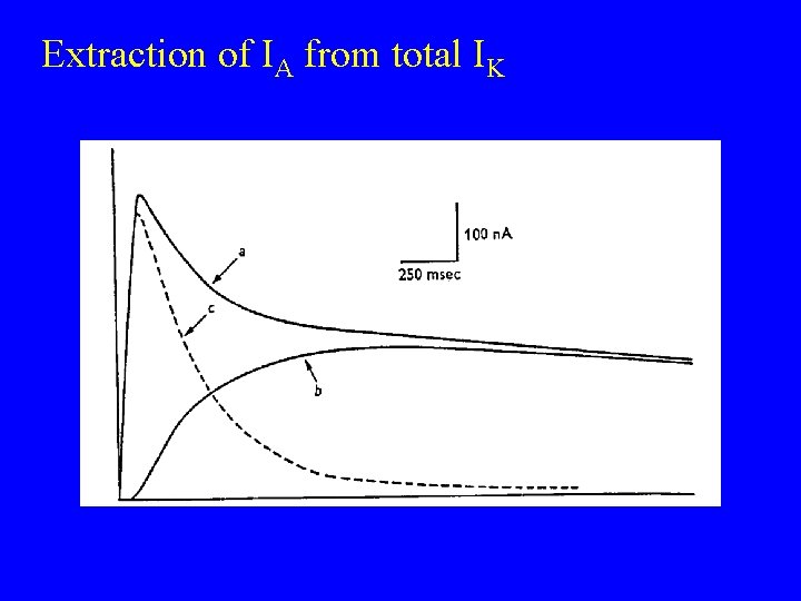 Extraction of IA from total IK 