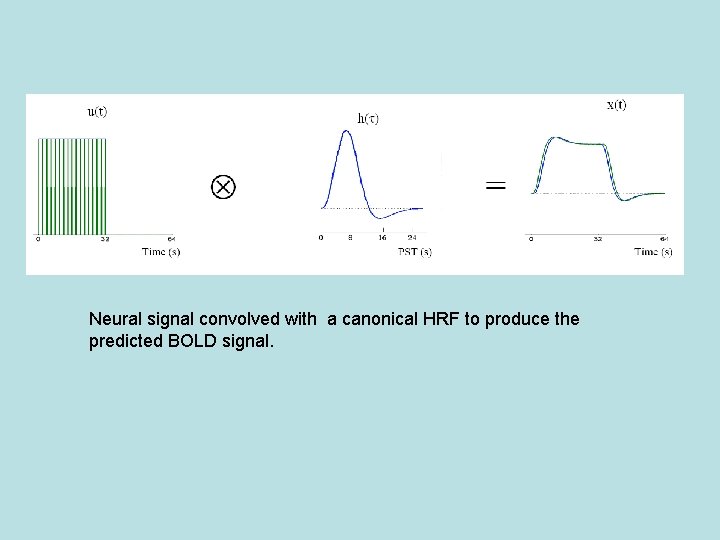 Neural signal convolved with a canonical HRF to produce the predicted BOLD signal. 