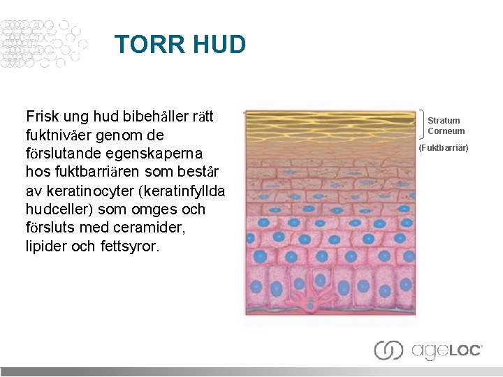 TORR HUD Frisk ung hud bibehåller rätt fuktnivåer genom de förslutande egenskaperna hos fuktbarriären