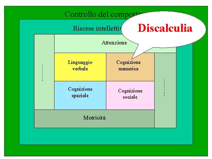 Controllo del comportamento Discalculia Risorse intellettive generali Attenzione Cognizione spaziale Motricità Cognizione numerica Cognizione